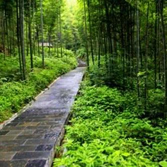 京广高铁湖南段建设进展、优化与未来规划揭秘