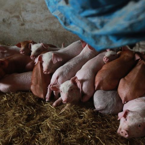 微信优惠群号来袭!省钱新玩法,轻松享福利