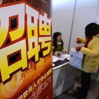 银川金凤区最新招聘启事发布