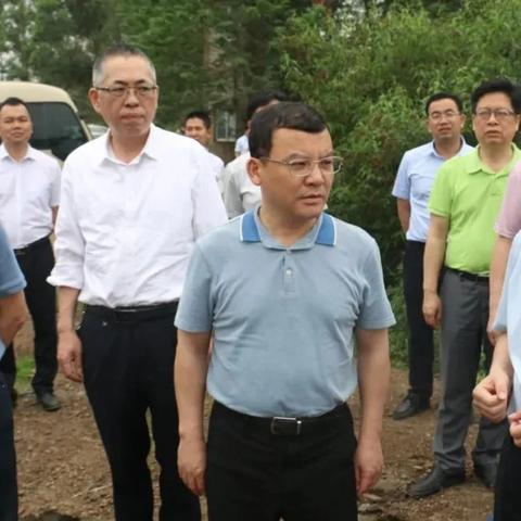 最新手机游戏排行榜 第12页