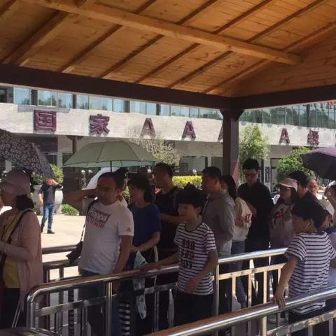 洛阳一周新闻综述，时事热点速递